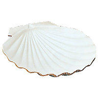 �A���~ �z�^�e�L�M 195�~190�~H45mm ��