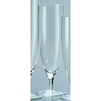 �v���`�i �s���X�i�[ 10oz 310cc