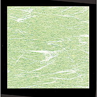 �R�� OP�_�����~ �ᑐ�F 100������ 10�~10cm