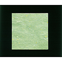 �R�� OP�����ĂȂ����~ �ᑐ�F 100������ 10�~10cm