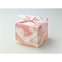 �d����� �~�̍��� 20������ 75cm�p