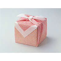 �d����� ���̗t 20������ 90cm�p