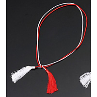 �d���p��d�S�� �[�Ђ� �g�� 100�{���� ��L46cm