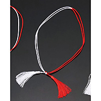 �d���p�U���S�� �[�Ђ� �g�� 100�{���� ��L40cm