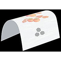 �h�[���|�� 100������ �`