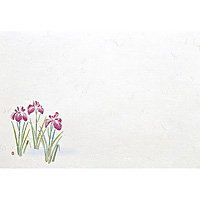�ڂT �_���a�� ���΂܂��� �l�G 100������ �Ҋ� 4�`5��