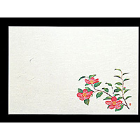 �ڂR �_���a�� ���΂܂��� �l�G 50������ �����񂩁^10�`12��