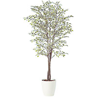 �x���W���~�i�X�^�[���C�g �g���v�� 91247(RP-300) H2,000mm