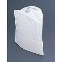 �p�� �p���X�n�b�g ���^ �S��250mm 10������ PH-115