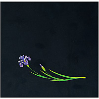 A[ebN OP NA lG 150~150mm 200 