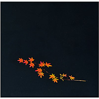 A[ebN OP NA lG 150~150mm 200 Ԃ݂