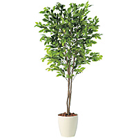 ���k�ԍ� SG �x���W���~�i �X�v���b�V�� �g���v�� 90712 2.0���[�g��