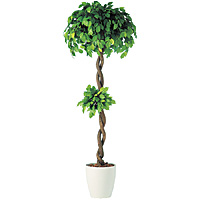 ���k�ԍ� SG �t�B�b�J�X�x���W���~�i �_�u�� 90730 2.0���[�g��