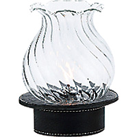 G ibNX ICv OL-31B-41C NA[