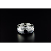 �X�e�����X�Ɩ� ��^�ۃ~�j�� ���10.2mm