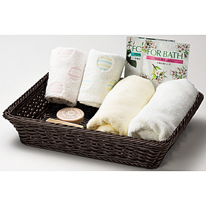 �A���j�e�B�����ړI�P�[�X �_�[�N�u���E�� AT-250 ��