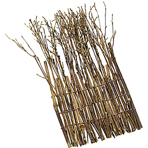 ������ ���|������ ��B