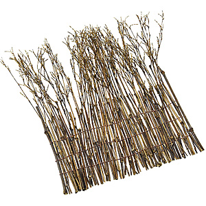 ������ ���|������ ��