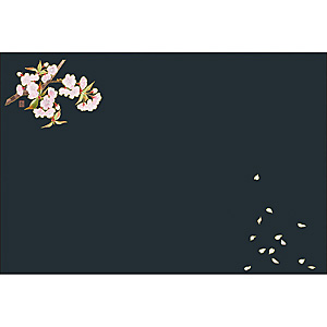 ��3 �R�� �l�G�ʂ܂��� �H���̉� 50������ ��