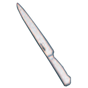 �z���}�Ȋw �O���X�e��TM�^�C�v �v���e�B�i�C�t 025TM 25cm
