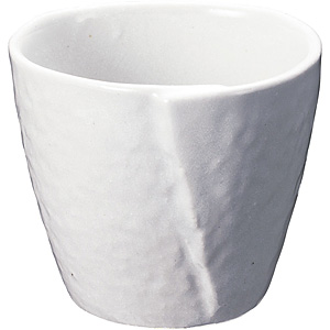 ����NR�z���C�g �˒��J�b�v D03-138 ��