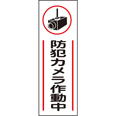 ���{�Ώ\���� �Z���^��ʕW�� �^�e 093265 [�h�ƃJ�����쓮��]