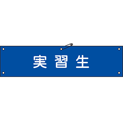 ���{�Ώ\���� �r�� �z��� 139232 [���K��]