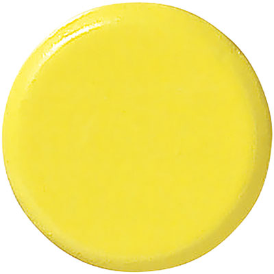 ���{�Ώ\���� �����̓J���[�}�O�l�b�g ��30mm 2��1�g 315023 ��