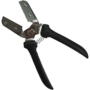 新型栗くり坊主 - 調理器具のSHOKUBI