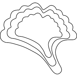 �J���_ ��������̖�ؔ���� ��