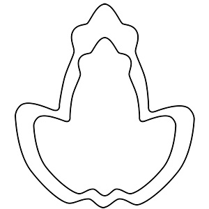 �J���_ ��������̖�ؔ��J�G�� ��