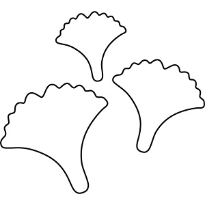 �J���_ ��������̐������ 3PC