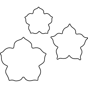 �J���_ ��������̐����j�[ 3PC