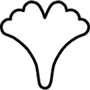�J���_ ��������̐����ɏ� ���