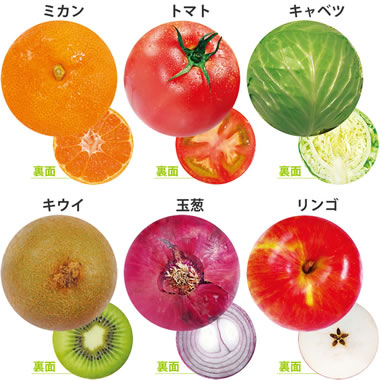 ���c���H �f�U�C�����R�[�X�^�[ �ʎ� <6����> No.6