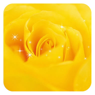 ���c���H �f�U�C�����R�[�X�^�[ <100����> No.915 E. �o��