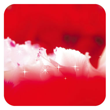 ���c���H �f�U�C�����R�[�X�^�[ <100����> No.916 F. �`���[���b�v