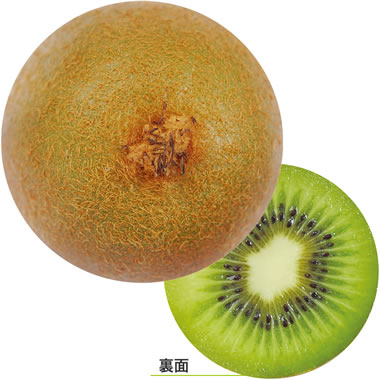 ���c���H �f�U�C�����R�[�X�^�[ �ʎ� ��100������ No.961 A. �L�E�C
