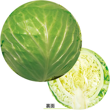 ���c���H �f�U�C�����R�[�X�^�[ �ʎ� ��100������ No.962 B. �L���x�c