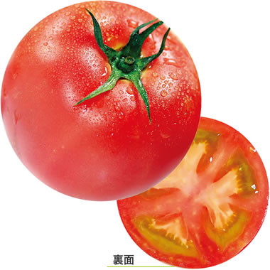 ���c���H �f�U�C�����R�[�X�^�[ �ʎ� ��100������ No.963 C. �g�}�g