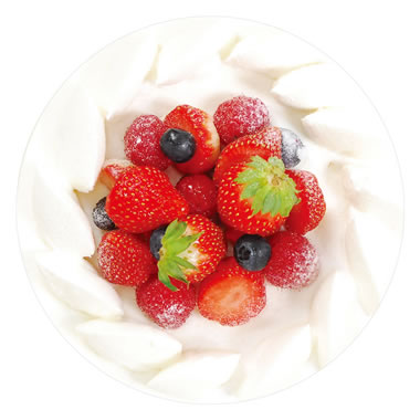 ���c���H �f�U�C�����R�[�X�^�[ ���َq ��100������ No.983 C. �V���[�g�P�[�L