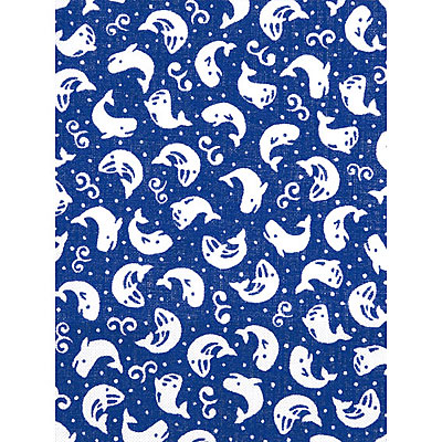 �{�{ �����@�� <��ʂ���10���Z�b�g> ������