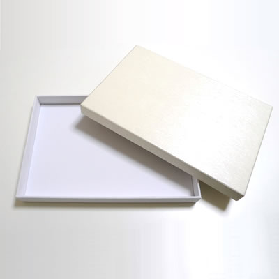���C�� �W�t�����g���C �A�E�g�T�C�h No.10080 <���F��>