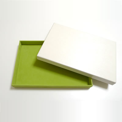 ���C�� �W�t�����g���C �A�E�g�T�C�h No.10080 <���΁F��>