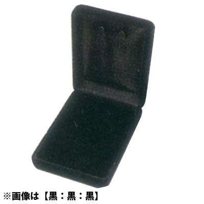 ���C�� �l�b�N���X�P�[�X AN/N No.6240 <���F���F��>