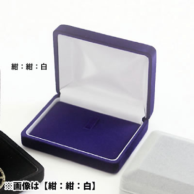 ���C�� �u���[�`�P�[�X YS170 No.237 <�O���[�F�O���[�F��>