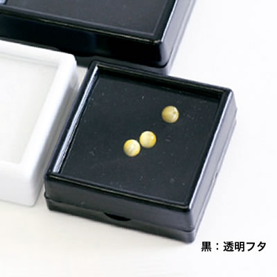 ���C�� �v���X�`�b�N���[�X�P�[�X �����F�����t�^�� No.3482 ��50mm