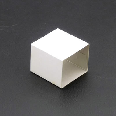 ���C�� �����O�P�[�X B12R/R�p�X���[�u No.20S