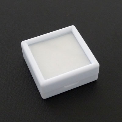 ���C�� �v���X�`�b�N���[�X�P�[�X �����F�����t�^�� No.3481 ��40mm