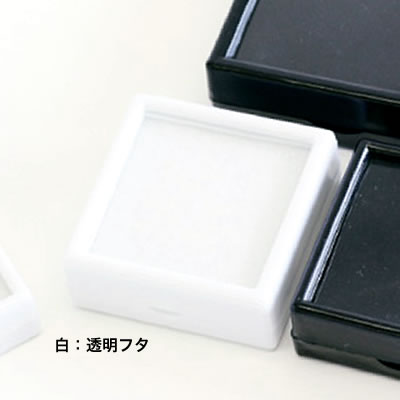 ���C�� �v���X�`�b�N���[�X�P�[�X �����F�����t�^�� No.3482 ��50mm
